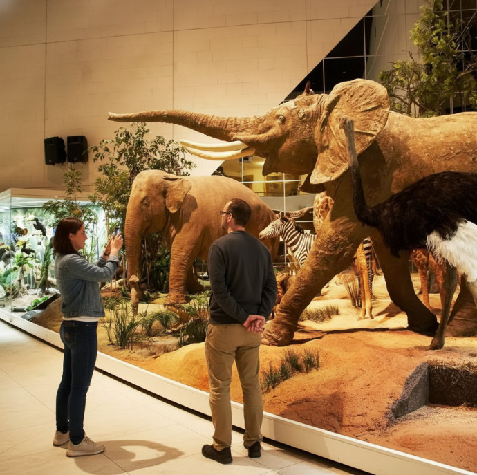 Дарвиновский музей в Москве