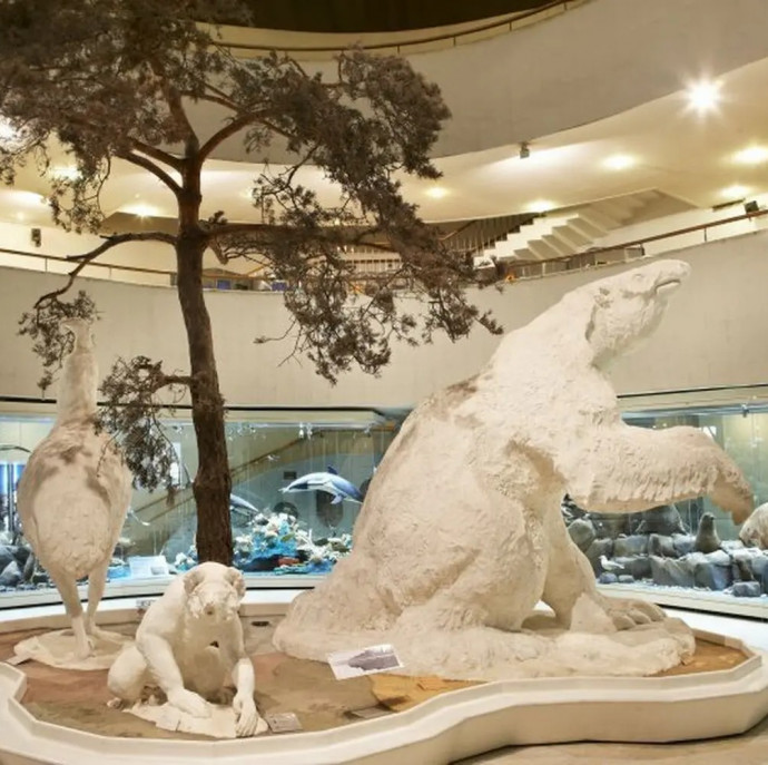 Дарвиновский музей в Москве