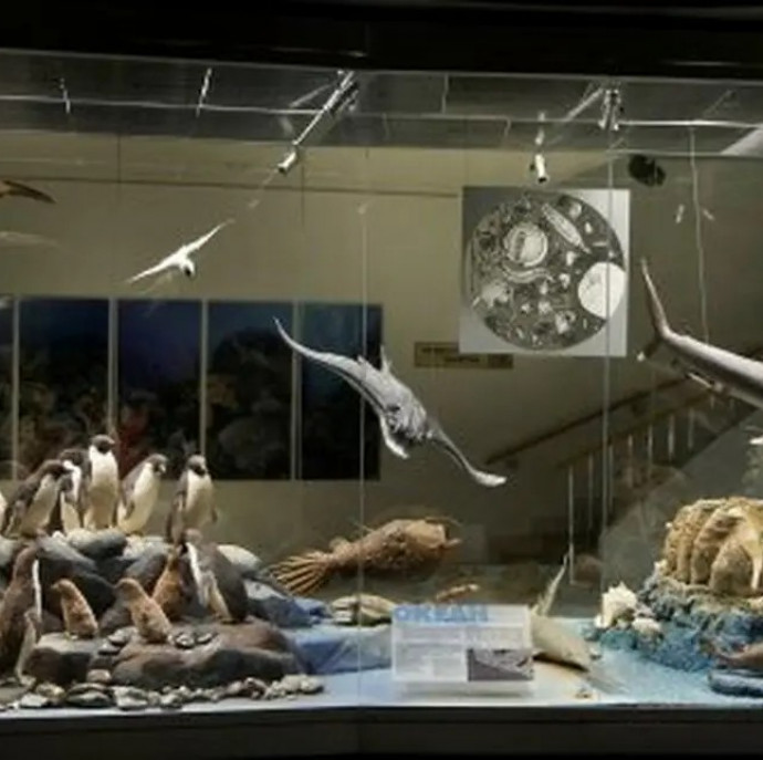 Дарвиновский музей в Москве