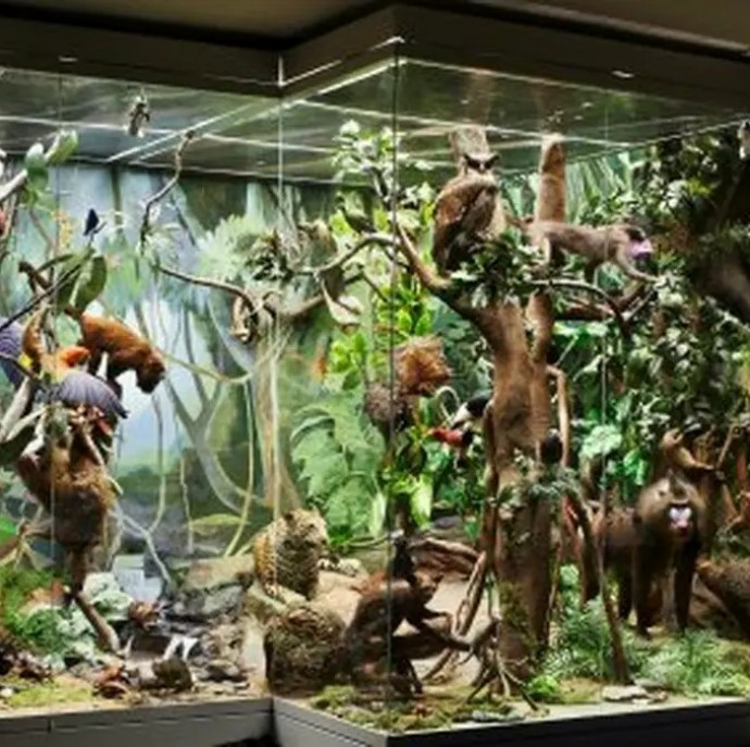 Дарвиновский музей в Москве