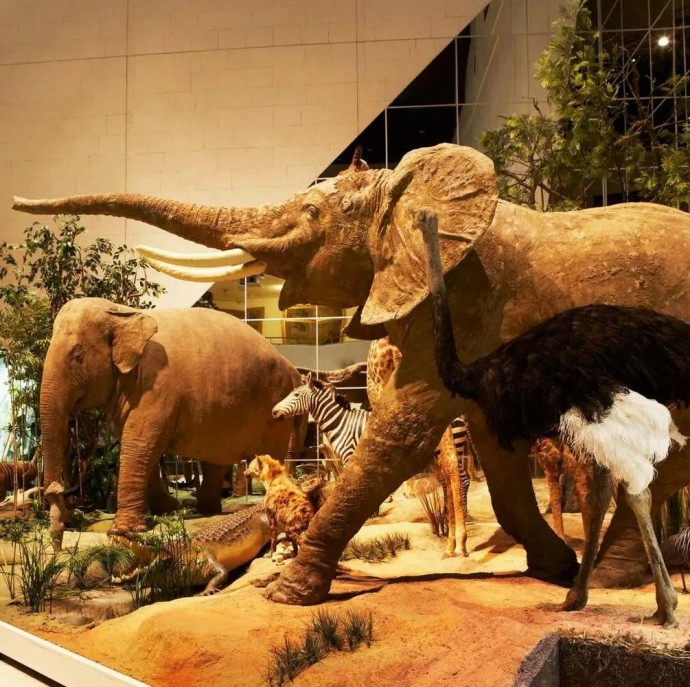 Дарвиновский музей в Москве