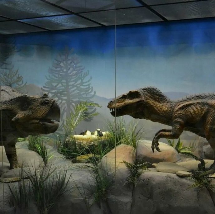 Дарвиновский музей в Москве