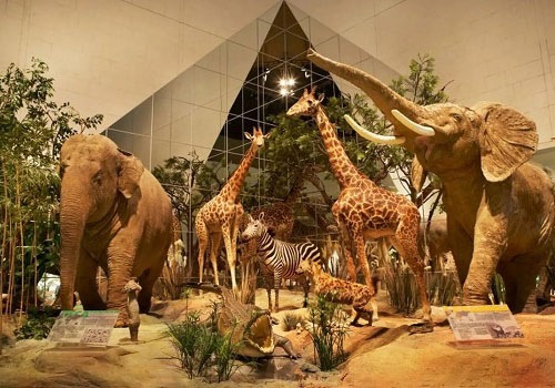 Дарвиновский музей в Москве