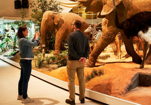 Дарвиновский музей в Москве