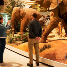 Дарвиновский музей в Москве