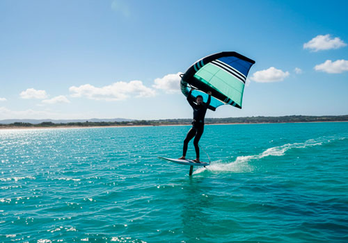 Вингфойл в Москве