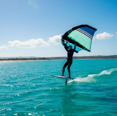 Вингфойл в Москве