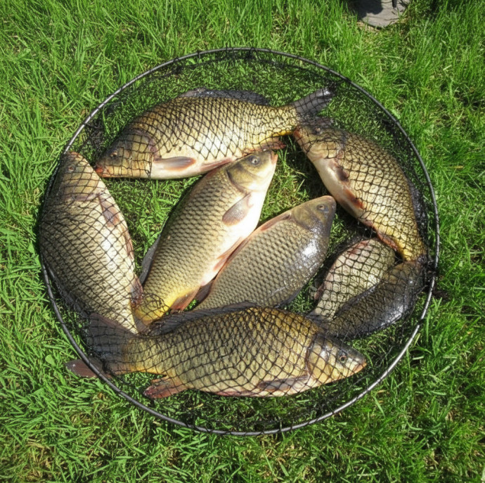 Рыбалка на озере в Москве