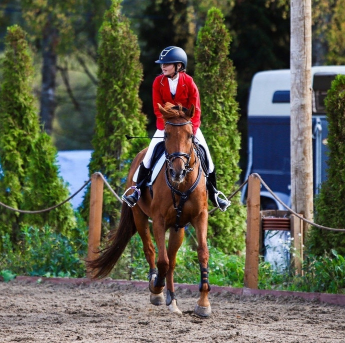 Индивидуальная конная прогулка в Москве