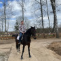 Индивидуальная конная прогулка в Москве