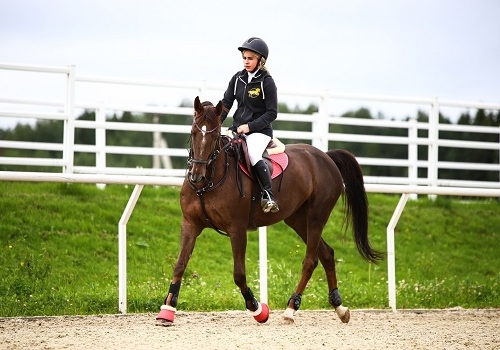 Индивидуальная конная прогулка в Москве