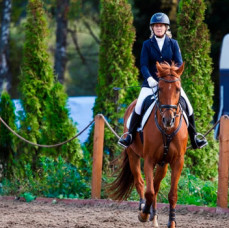 Индивидуальная конная прогулка в Москве