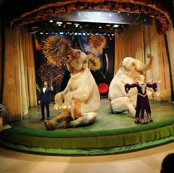 Театр Уголок Дедушки Дурова в Москве