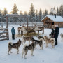 Экскурсия Северные олени и ездовые собаки в Москве