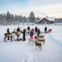 Экскурсия Северные олени и ездовые собаки в Москве