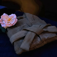 SPA японский Император в Санкт-Петербурге
