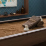 Sand Bed в Москве