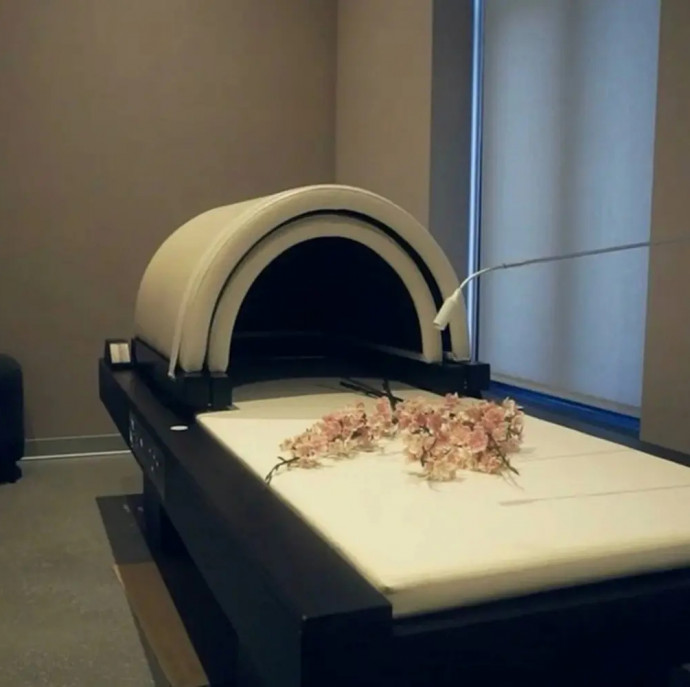 СПА программа Ариан ФИГУРА в Москве