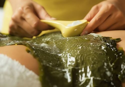 СПА Водорослевое обертывание в Москве