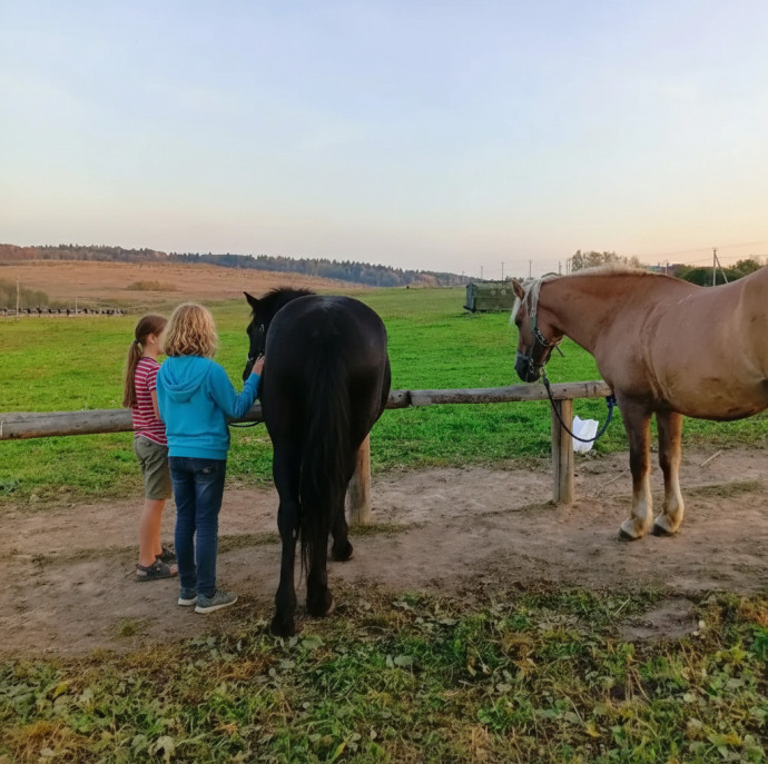 Конная прогулка для детей в Москве