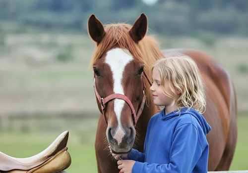 Конная прогулка для детей в Москве