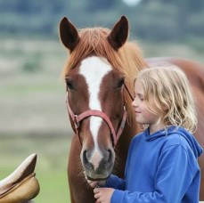 Конная прогулка для детей в Москве