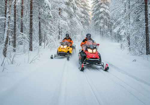 Поездка на снегоходе LUX в Москве