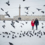 Курс молодого фотографа Петербург в объективе в Санкт-Петербурге