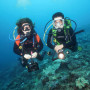 Индивидуальный курс дайвинга PADI Open Water Diver в Санкт-Петербурге