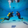 Индивидуальный курс дайвинга PADI Open Water Diver в Санкт-Петербурге