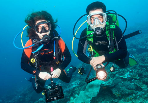 Индивидуальный курс дайвинга PADI Open Water Diver в Санкт-Петербурге
