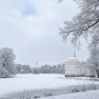 Экскурсия в Царское село с посещением Екатерининского дворца и Янтарной комнаты в Санкт-Петербурге