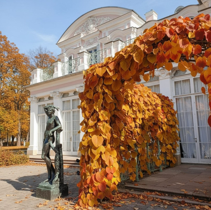 Экскурсия в Ораниенбаум в Санкт-Петербурге