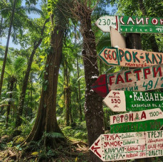 Экскурсия Ленинградский рок-н-ролл в Санкт-Петербурге